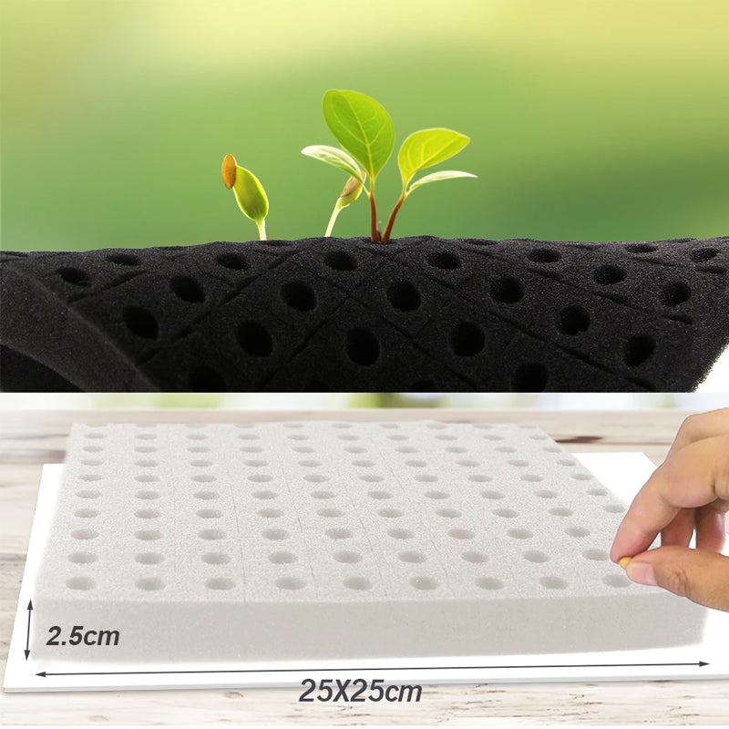 Square Seedling Sponge Block with Small Round Holes